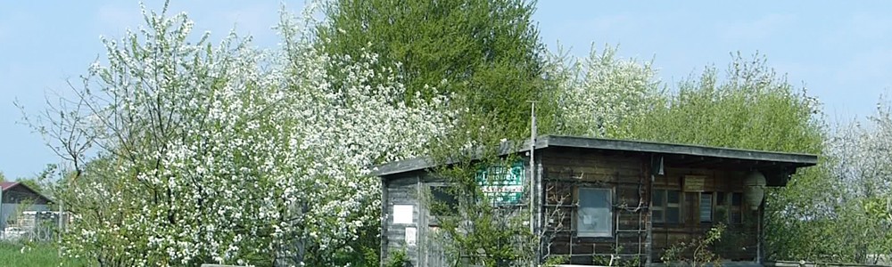 Apfel-Honig-Kartoffel-Fest